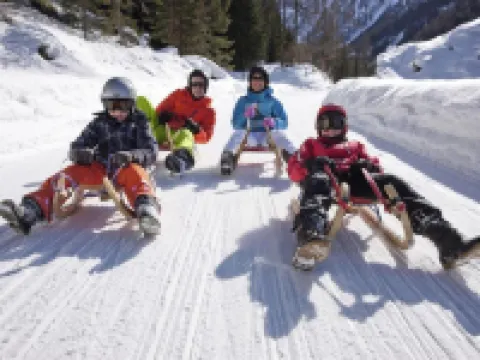 Glacier Views & Ski Trails Hotels in Naters