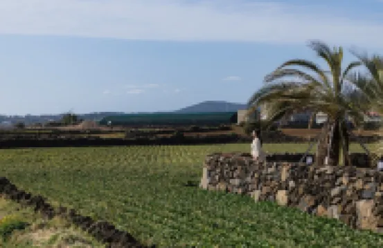 Jeju Butia Pool Villa