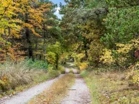 "Eimi" - 1.5km from the Sea Hotels in Blokhus