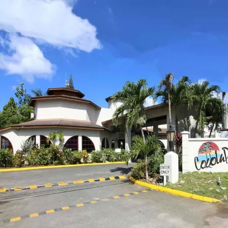 Coco la Palm