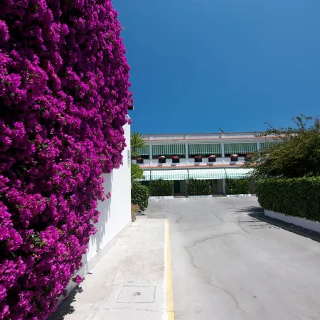 Hotel Residence Nemo
