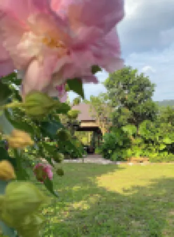 LeeHa Cottage Soc Sơn