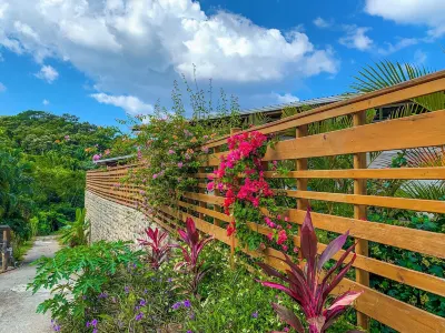 Richardson Serenity Villa Hotels in 