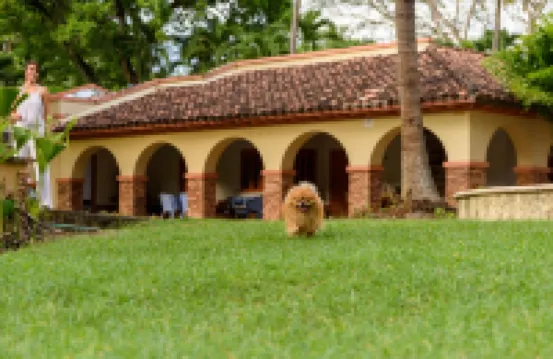 Finca Hotel Guadalupe Hotels in Santa Fe de Antioquia