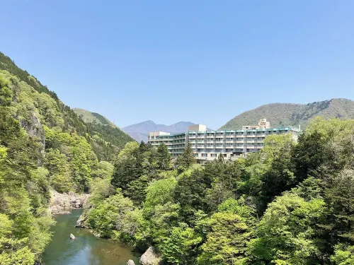 Kinugawa Royal Hotel - Pools