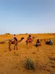 Crazy Camel Hotel & Safari
