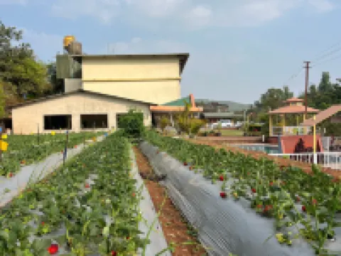 Khushi Riverside Resort & Spa Hotels in Avakali
