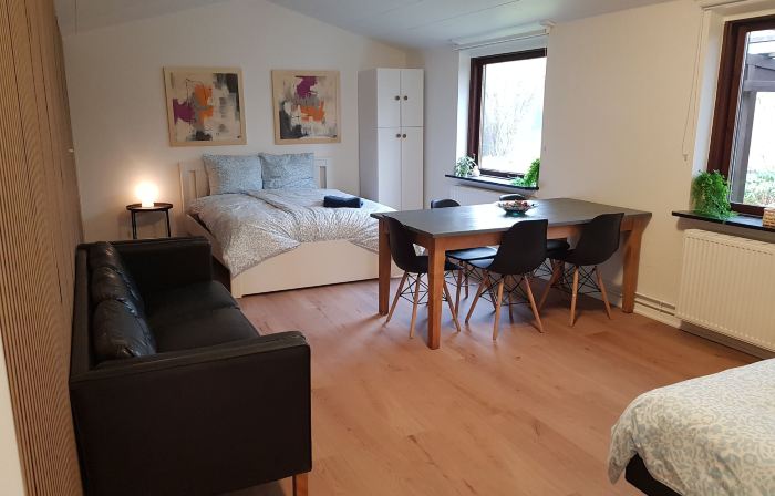 Central House in Billund 5 Bdr - Next to Lego Adventures