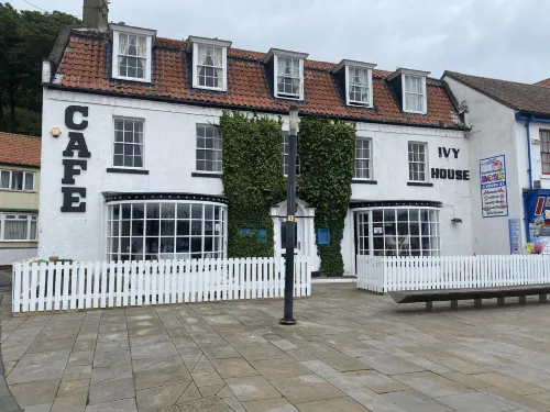 Ivy By The Sea