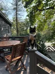Relaxing 3 Br Seven Springs Mountain Cabin