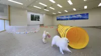ゆとりろ蓼科ホテルwith DOGS