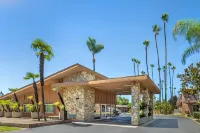 Best Western Pine Tree Motel