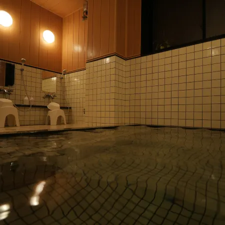 Ryokan Kikusuikan Отели в г. город Офунато