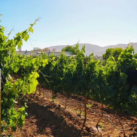 Rancho Los Retoños