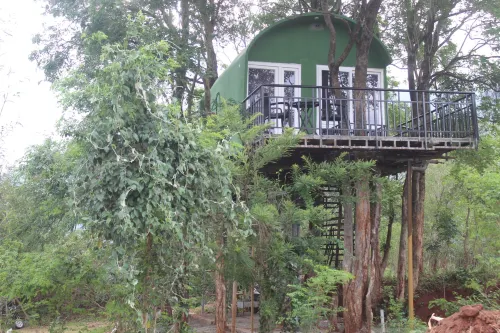 Ivory Inn - Homestays