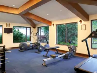 Novotel Goa Dona Sylvia Resort - Gym