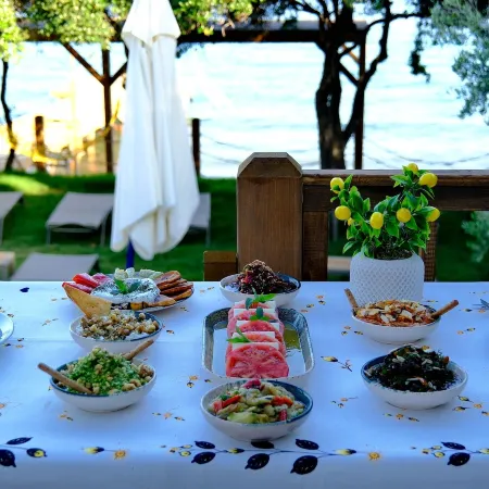 Limonata Hotel Assos