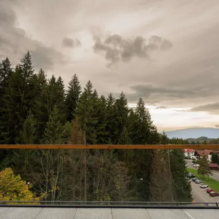Swissôtel Poiana Brasov