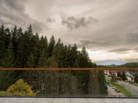 Swissôtel Poiana Brasov - Mountain view