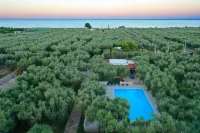 Ferienwohnung Ulivo Mit Pool Und Privatstrand - Swimmingpools