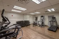 Holiday Inn Express & Suites CORPUS CHRISTI by IHG - Gym