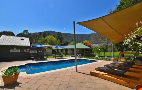 Harrietville Hotel Motel - bar