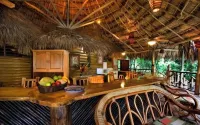 Villas Pico Bonito - bar