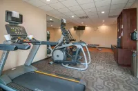 Fairfield Inn & Suites Dallas Plano North - Gym