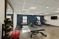 希爾頓歡朋套房飯店-佩託斯基 - 健身房