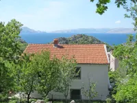 Novak