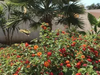 Villa Katina with Private Pool Near Almyrida Hotels near Old Christian Basilica of Almirida