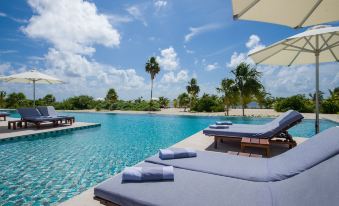 a large outdoor pool surrounded by lounge chairs , with a view of palm trees in the background at Chable Maroma