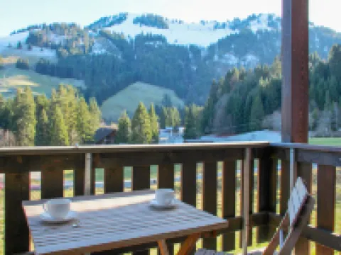 Andromède 6 Hotels in Gruyeres