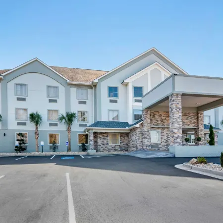 Comfort Inn & Suites Macon North I-75
