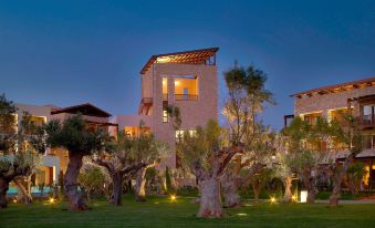 a large , modern house surrounded by lush green grass and trees , illuminated by lights at night at The Westin Resort, Costa Navarino