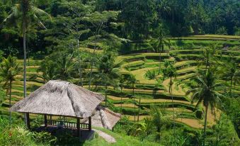 Green Flow Villa 21