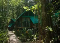 Almonds and Corals Boutique Hotel Hotels in 