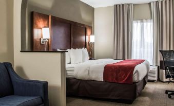 Comfort Suites Research Park - University