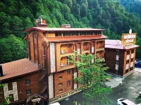 Ayder Hasimoglu Hotel Hotels in Yukarisimsirli Koyu
