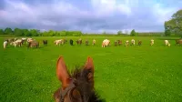Battens Farm Cottages B&B Hotels in Chippenham