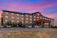 Best Western Plus Sherwood Park Inn  Suites Hotels near Pearle Vision