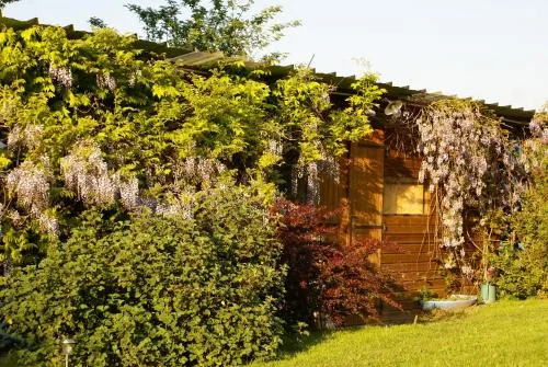 勒萊夫基杜克洛斯杜木蘭住宿加早餐旅館