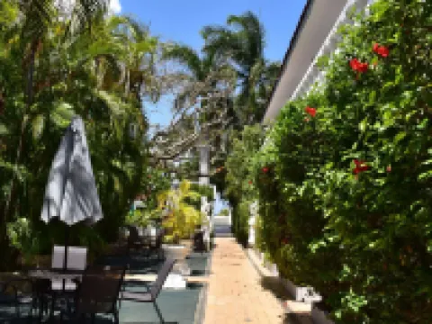 VILLABLANCA GARDEN BEACH HOTEL Hoteles cerca de Chankanaab Adventure Beach Park