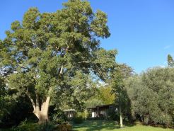Wharepuke Subtropical Accommodation