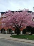 House of Trento - No Reception