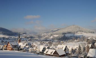 Hotel Hirsch