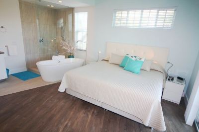 Other Ponce de Leon Photo