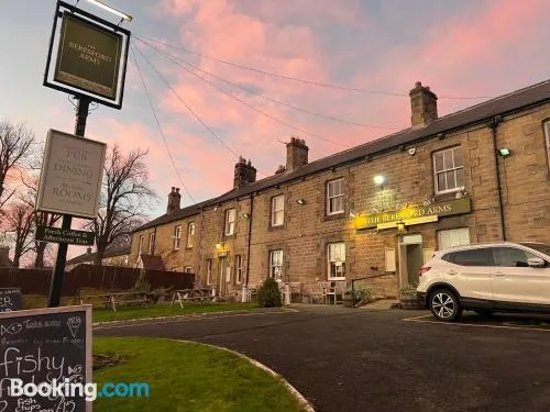 伯利茲福德阿姆斯酒店