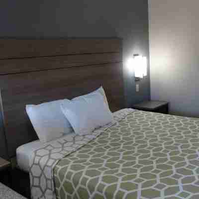 Regency Inn and Suites Humble Rooms