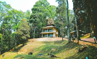 Vythiri Wild Forest Resort